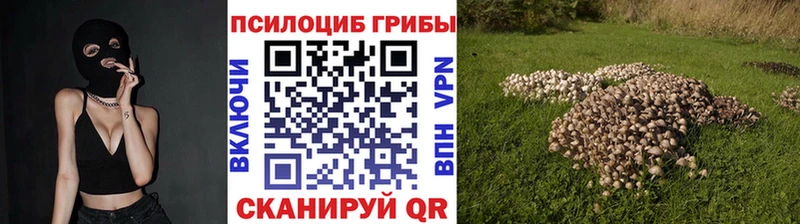 ОМГ ОМГ рабочий сайт Кизел Псилоцибиновые грибы Cubensis