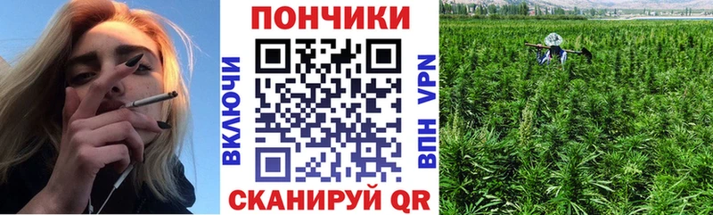 Бошки Шишки сатива  Кизел 